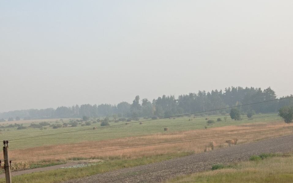 У Києві та області відчувається запах гару: що відомо